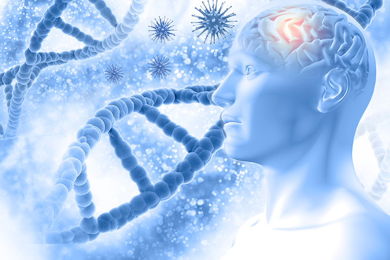El consumo prolongado de sedantes se asocia a alzheimer